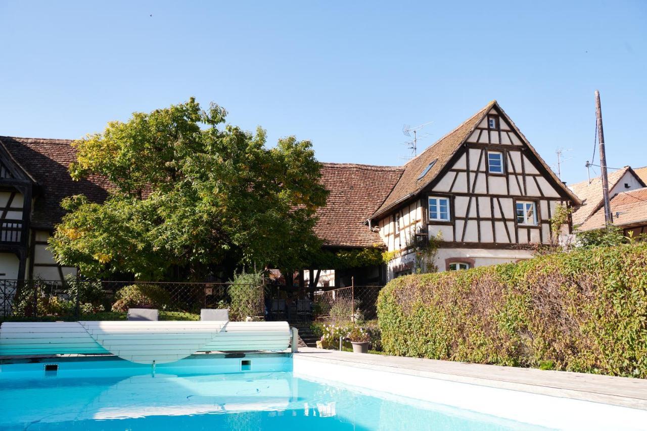 La Cour De Lise Maison D'Hotes Et Spa Willgottheim Exterior foto