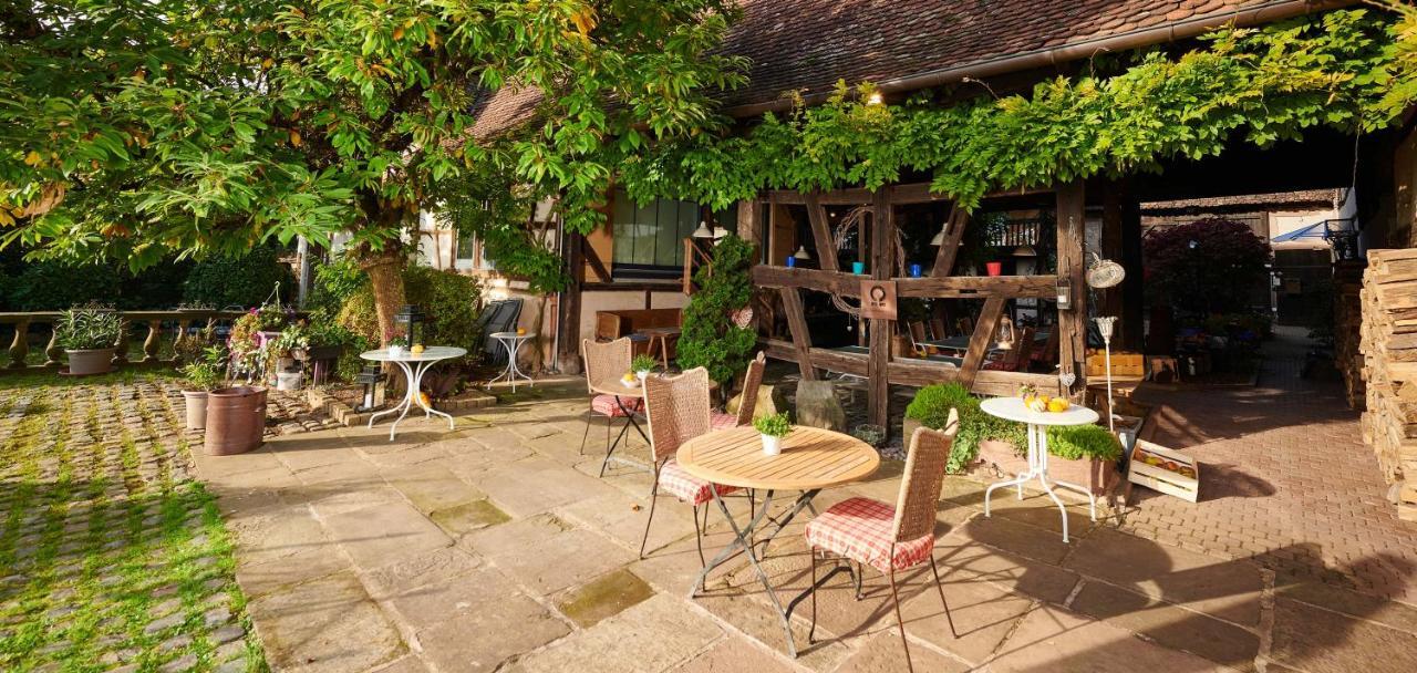 La Cour De Lise Maison D'Hotes Et Spa Willgottheim Exterior foto