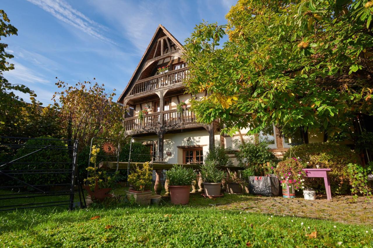 La Cour De Lise Maison D'Hotes Et Spa Willgottheim Exterior foto